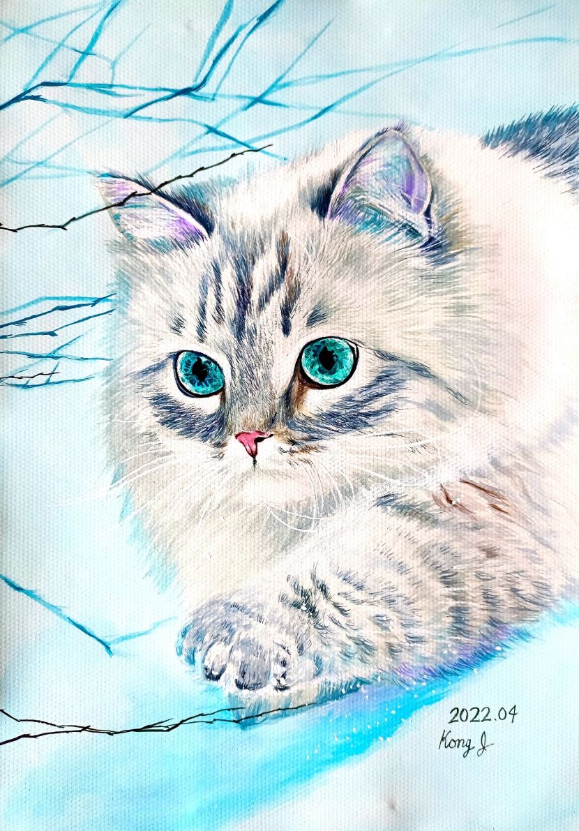 Glacier blue eyes (26.5 x 38 cm, gouache on paper, 2022 finished) Siberian cat, a fairy cat in the snow world. Authentic glacier blue pupils.