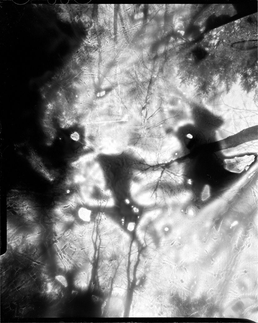 Black and white film photograph showing the open sky of the woods obscured by a black liquid viel causing the image to become abstract.